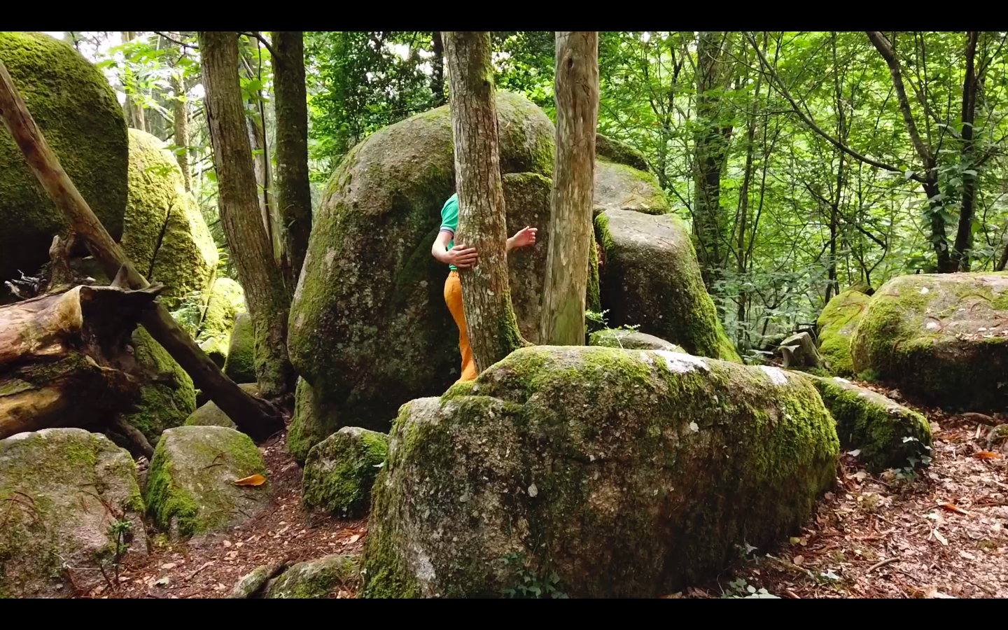 Capture d’écran 2022-05-13 à 11.59.50