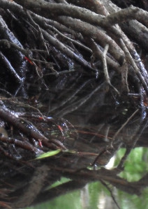 stage yoga danse 2016